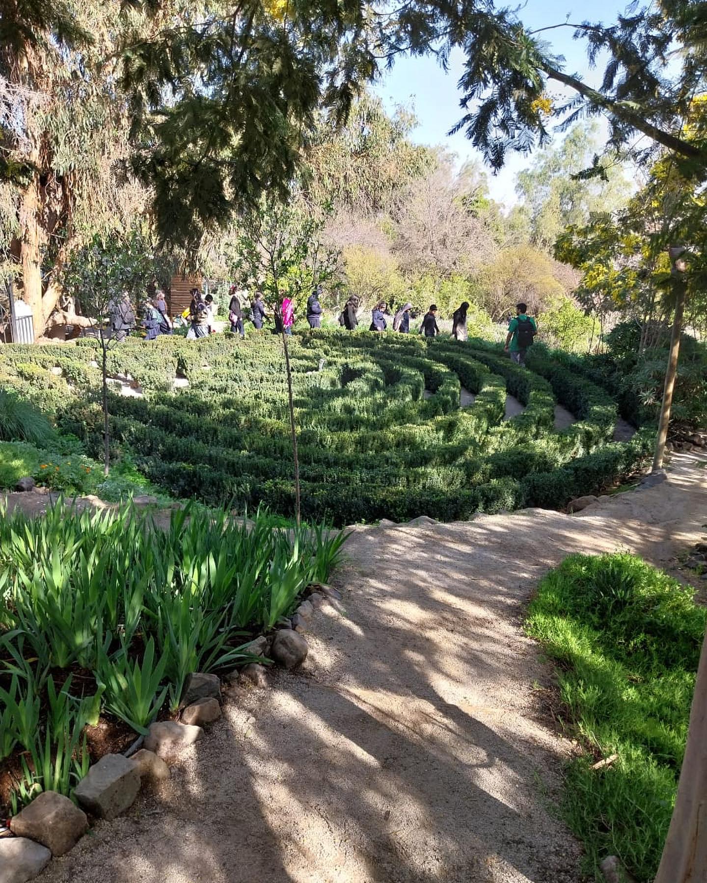 A group of people in the background of the Labyrinth with the shades from the nearby trees.