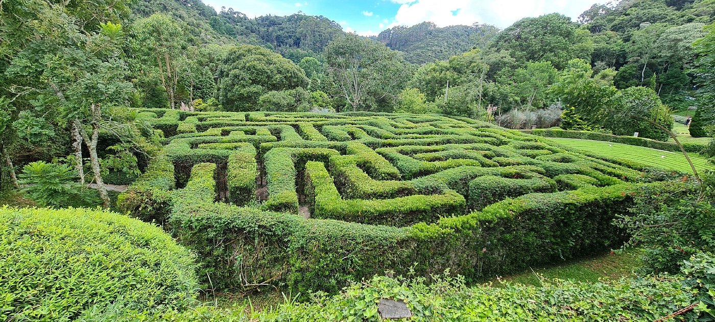Hedge maze, another view