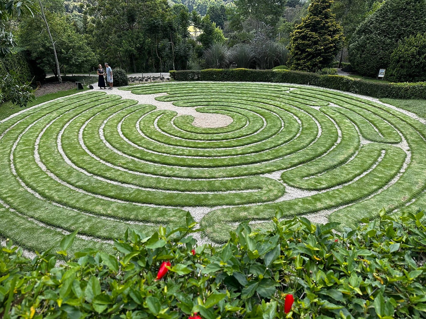 Grass maze, pathways partially trampled