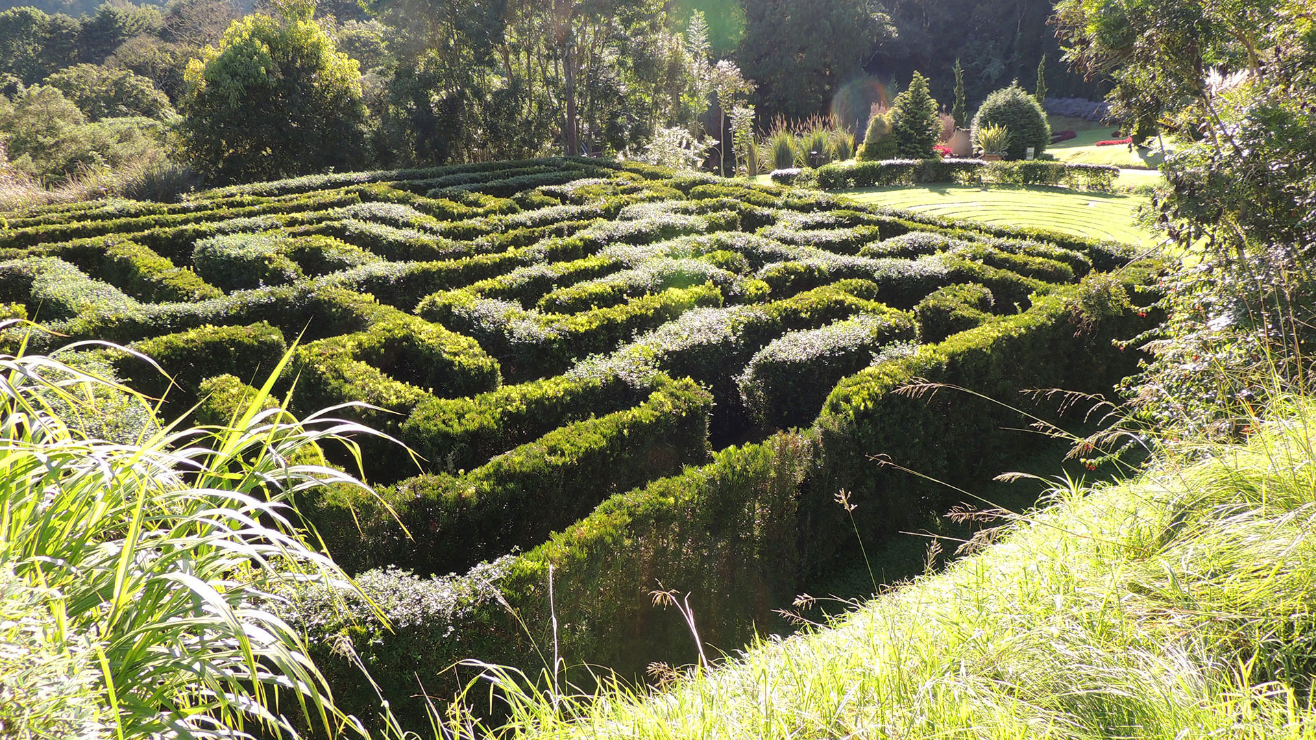 Hedge maze, one of the views