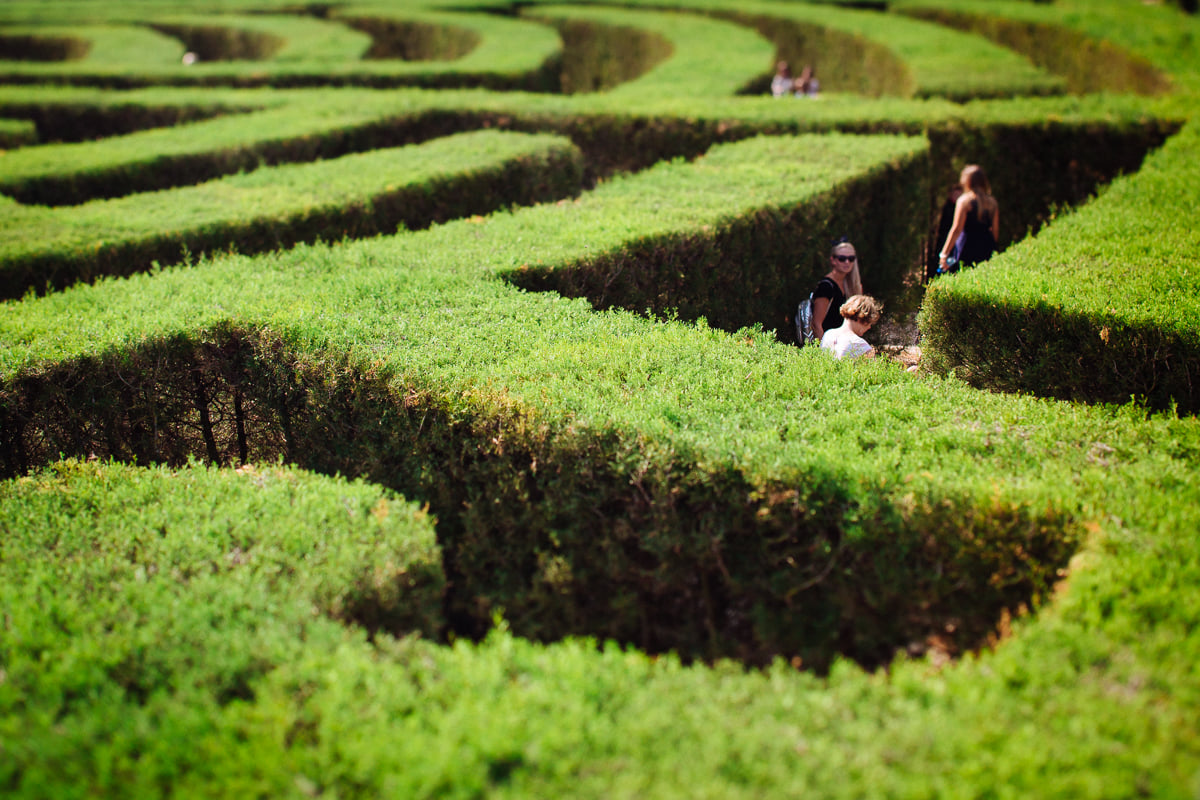 People in the Maze