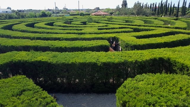Another Maze's view