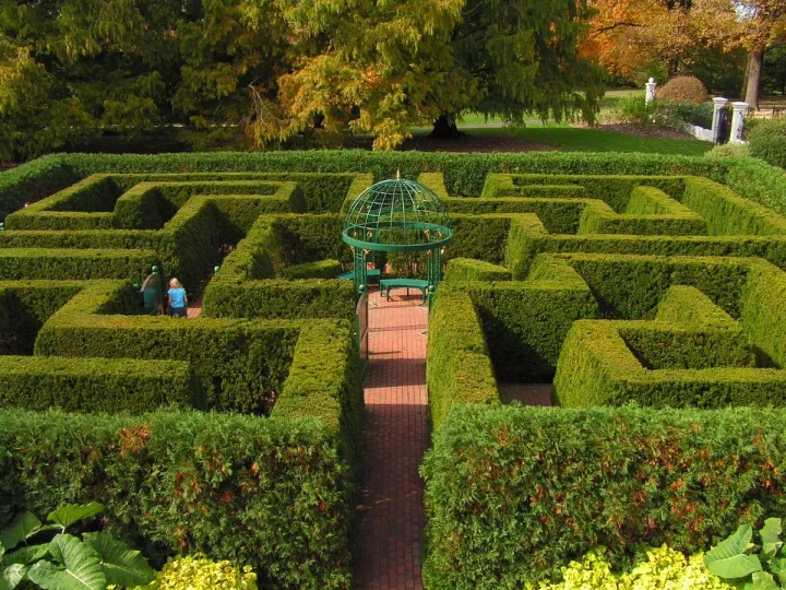 Maze in Fall