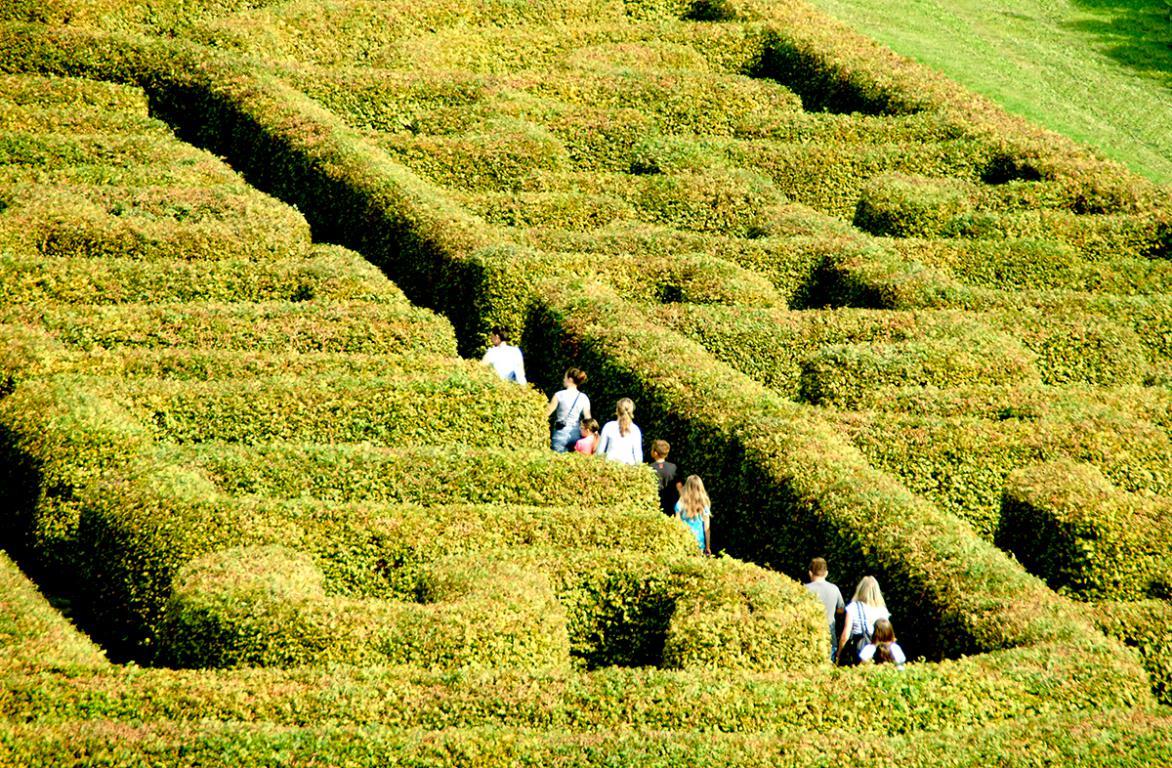 More people in the labyrinth