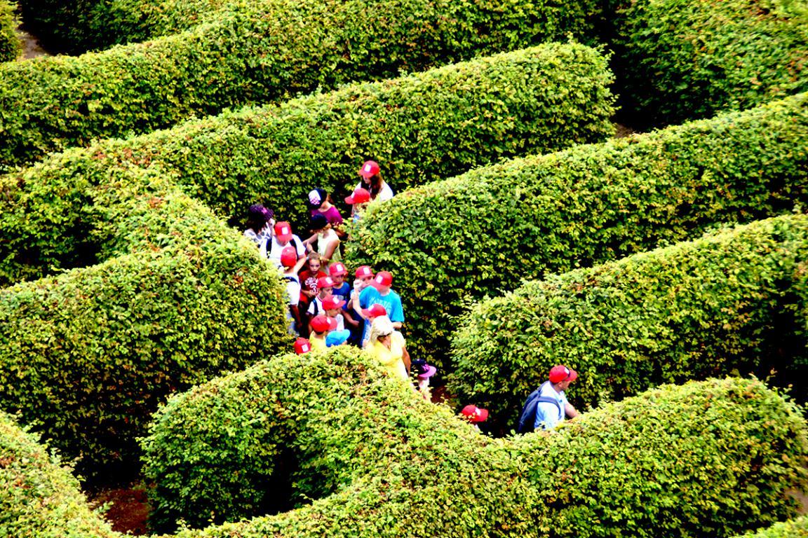 People in the labyrinth