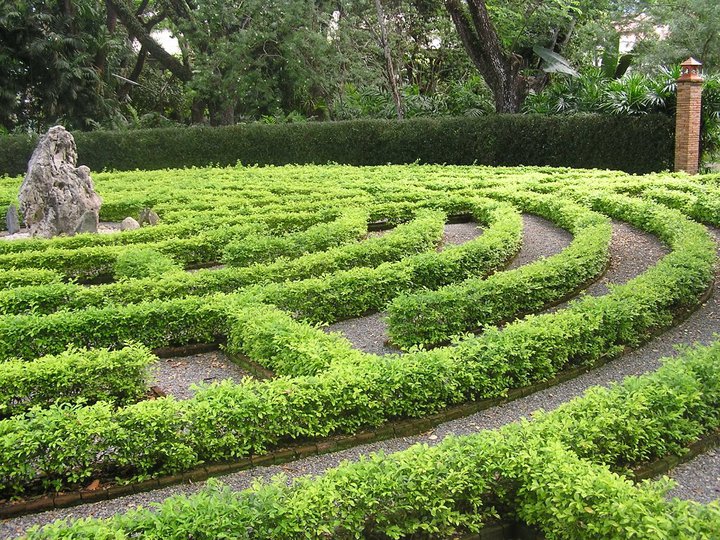 Hedges and pathways