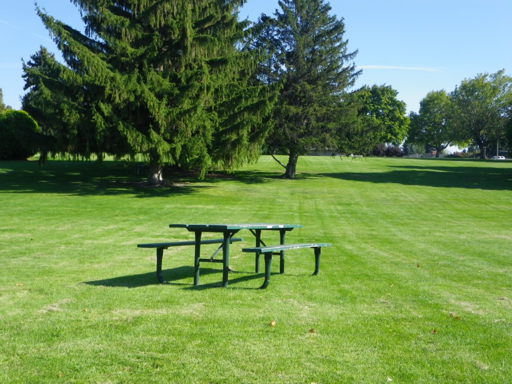 Table and benches in the park