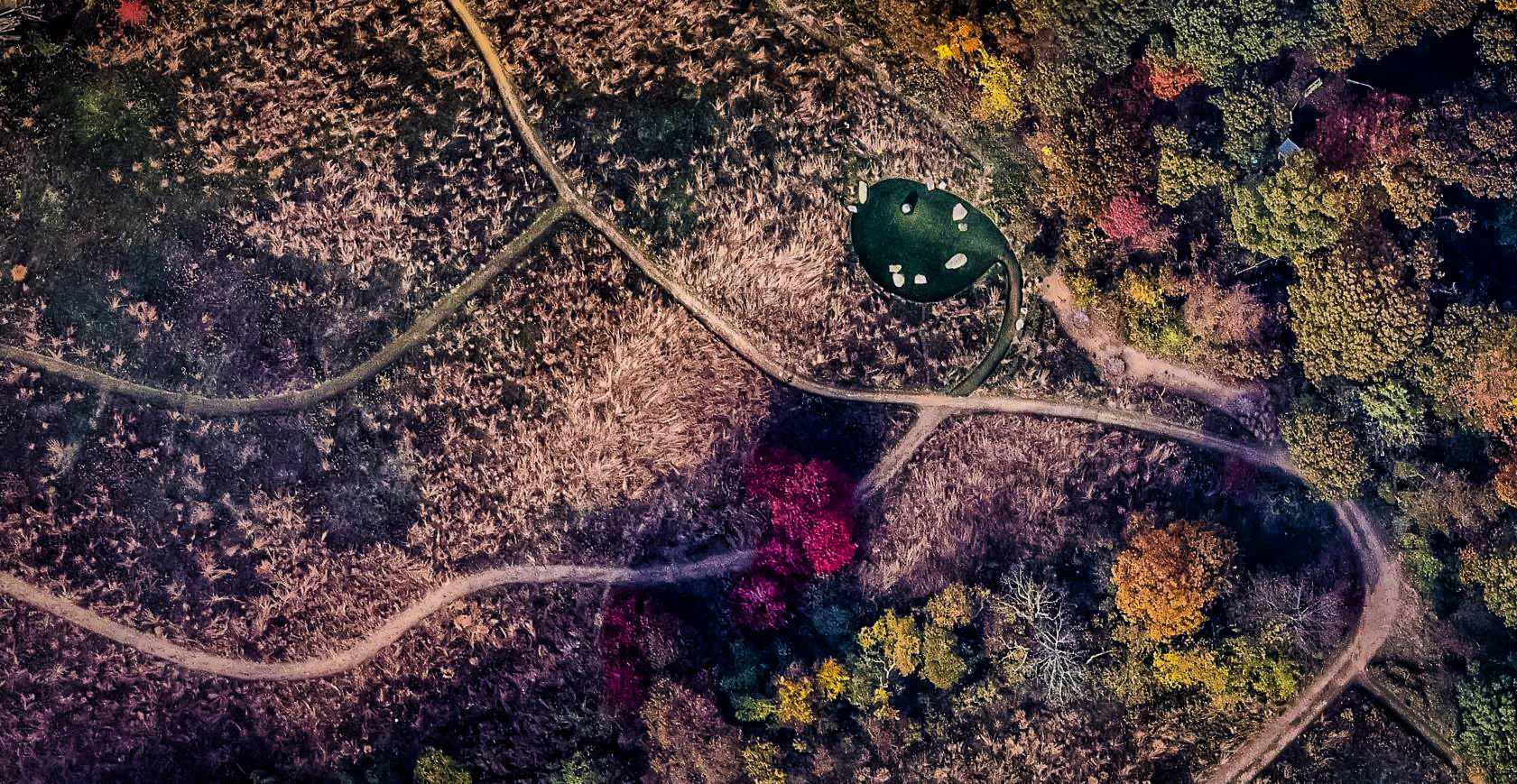 Trials' top view