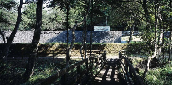 A pathway