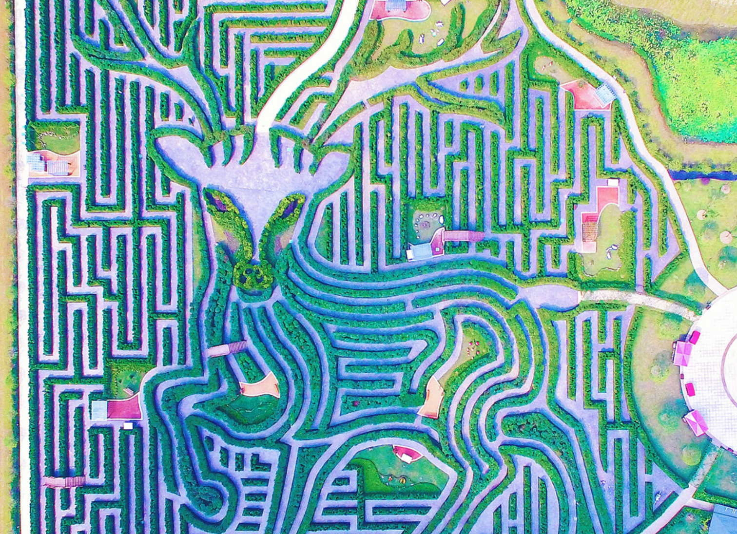 Yancheng Dafeng Dream Maze
