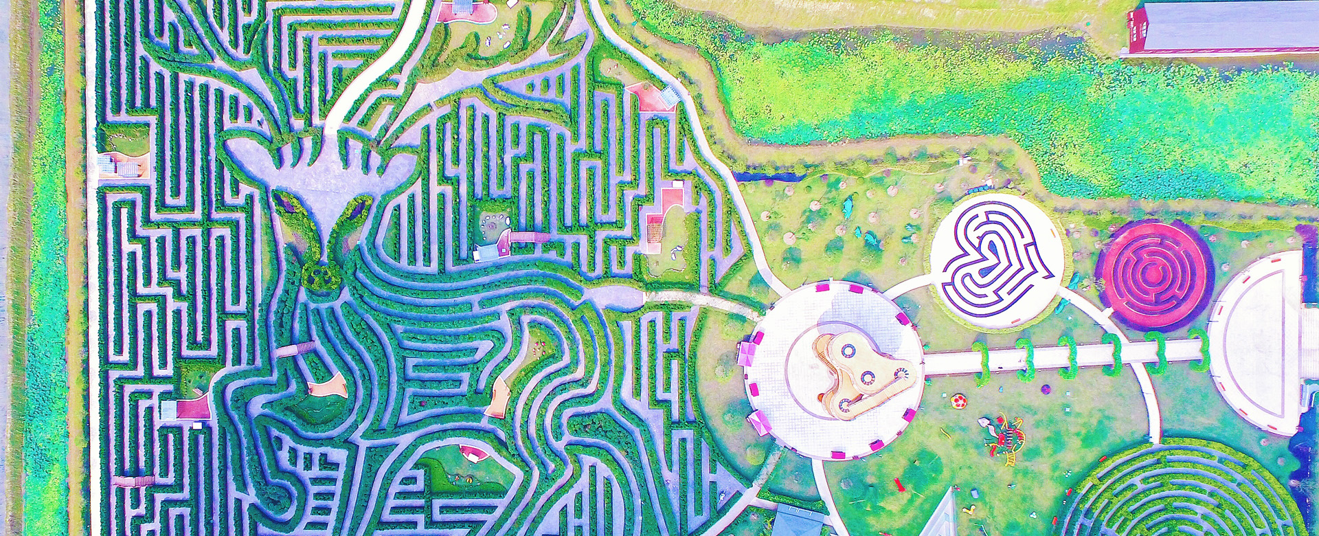 Yancheng Dafeng Dream Maze