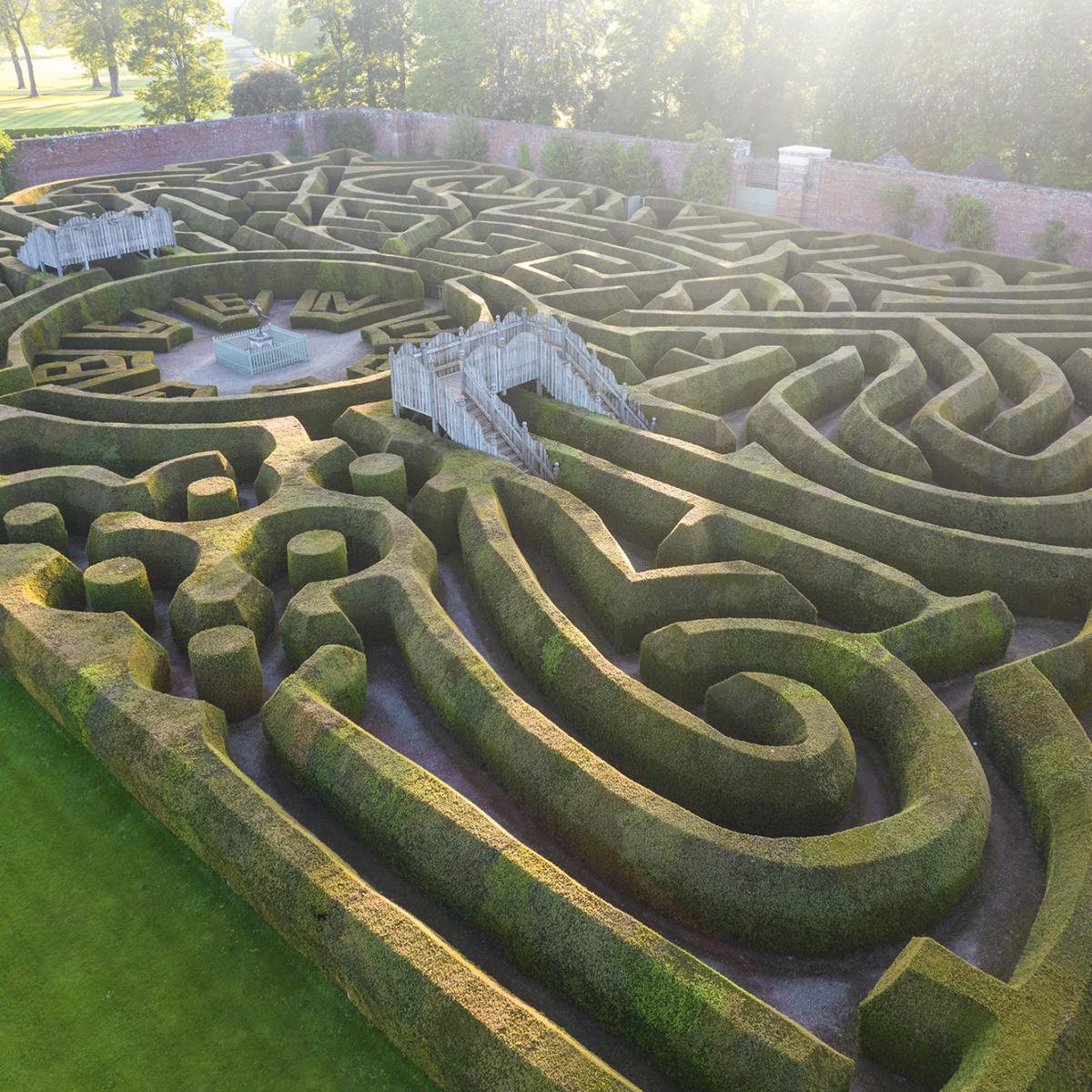 Marlborough Maze at Blenheim Palace