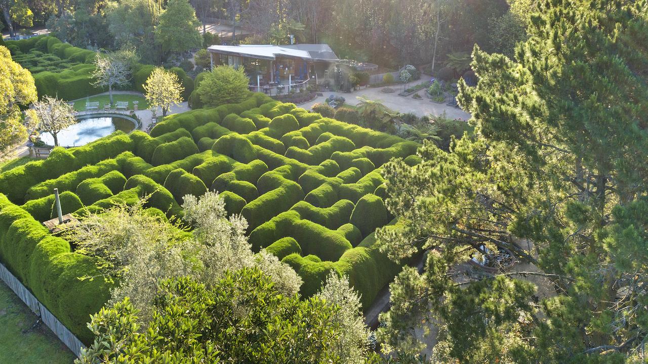 Ashcombe Hedge Maze