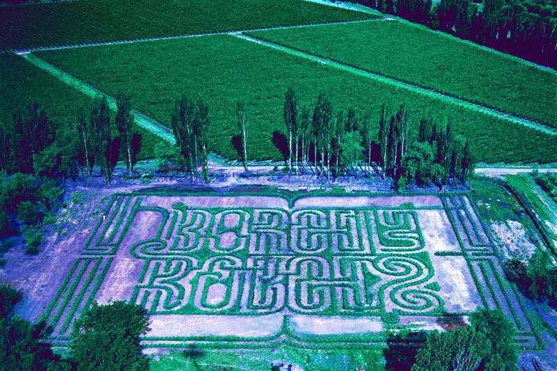 Borgesian Labyrinth